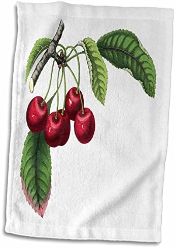 3drose florene - comida vintage - estampa de cerejas alemãs do livro de botânica - toalhas