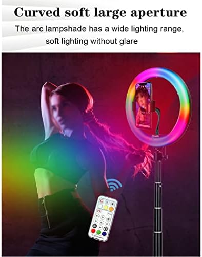 Lukeo 10 polegadas RGB Ring Light com LED remoto anel fotográfico Light Light Selfie Tripé com Stand