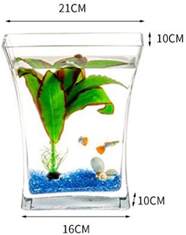 WPYYI Creative Glass Fish Tank Desktop Small Aquarium Gold Fish Tank Paisagem da sala de estar decoração da
