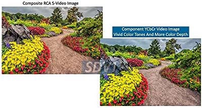 AllAboutAdapters CVSB S-Video para Componente YUV RGB Format Converter + Sync On Green RGSB Converter