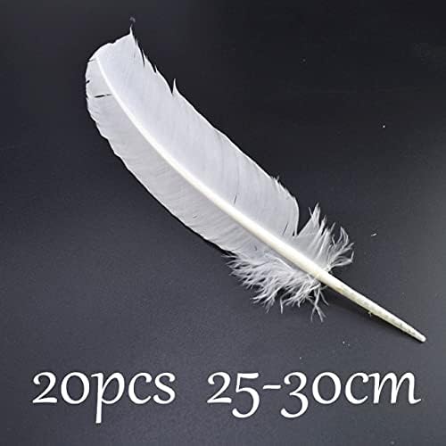 Zamihaala - 20pcs/lot white Astruz Feathers para artesanato Diy Pheasant Galo Feathers for Jewelry