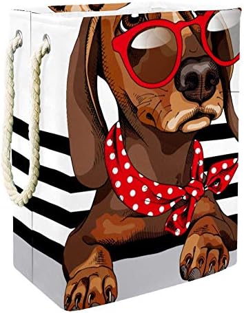 Cão de dachshund unicey em óculos escuros bolinhas de listras de listras de listras de lenços