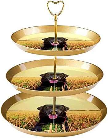 Exibir para pastelaria com 3 bandeja de porção redonda em camadas, Happy Black Labrador Cupcake Tower