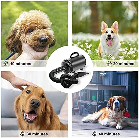 Dogii Dogii Dog Secador Rápido de 2800w Redução de ruído Pet Secer Home Use Profissional Spepless