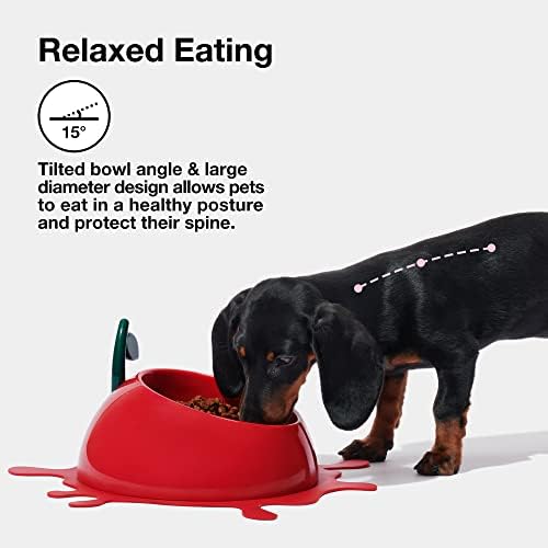 Tigela de gato de comida de gato de vereska para comida e água tiles de cachorro inclinados tigela de alimentação