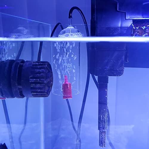 Caylingdee Aquarium Air Bubbler de vidro Oxigênio Bubbler de copo Difusor de oxigênio Dissolvido com