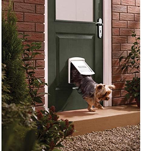 PetSafe - Staywell Cat e cães de staywell originais, 2 maneiras de entrar - entrada e saída - porta de estimação.