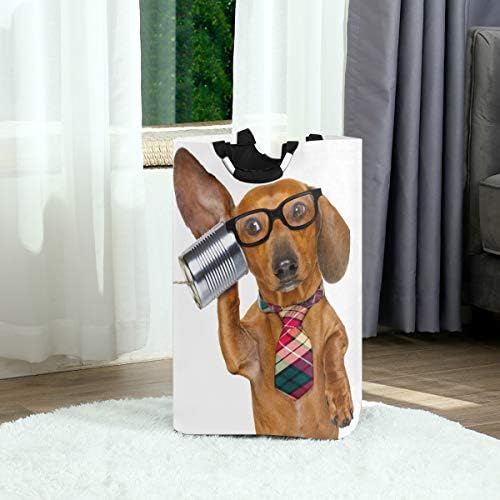 Yyzzh engraçado Dachshund Dog Ear lata Telefone em branco grande lavanderia bolsa de cesta de cesto