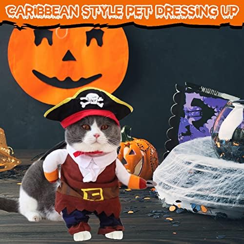 Trajes engraçados de pirata de gatos- estilo de estimação de estilo de estimação do caribenho vestindo uma