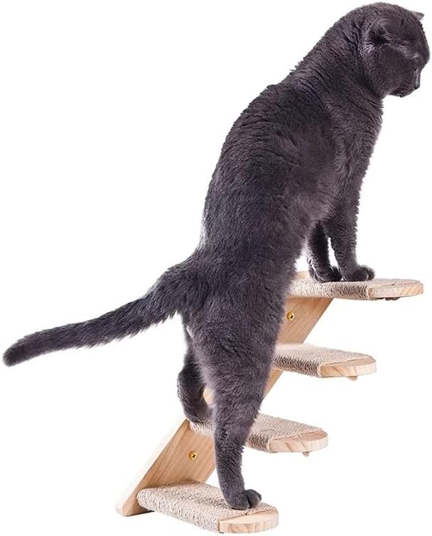 Totou Cat Salbing Shelf Mold Mound Step Cat Stairway com plataforma de arranhões