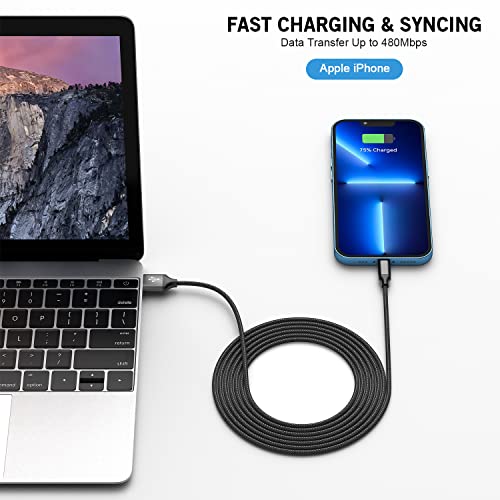 iPhone Fast Charger, carregador de parede de dupla porta de 2pack com carregamento rápido de 6,6 pés de comprimento USB trançado de nylon para um cabo de cabo duplo do cabo de parede dupla do cabo de carvão para iPhone 14 13 12 Pro Max 11 SE iPad