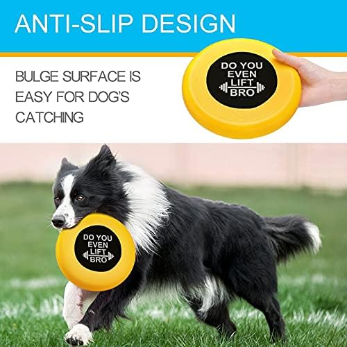 FunnyStar 10.39 Round Dog S Disc para treinar Borda resistente a picadas de cães