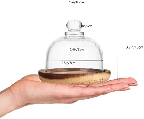 Placa de bolo de cúpula de vidro cloche do Doitool com cúpula de 3,9 polegadas de bolo rústico com pratos de