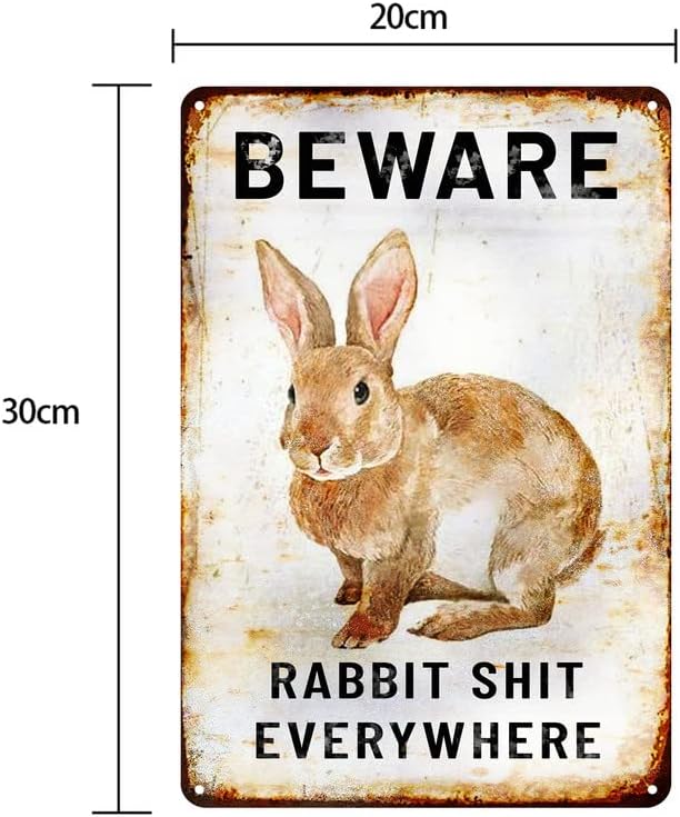 Funny Metal Tin Sign Rabbit Cuidado com coelho em todos os lugares Shop Farm Cafe Decoração de casa de
