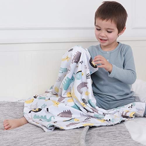 Boritar 2 pacote de bebê cobertor para meninos Minky macio com backing pontilhado de duas camadas,