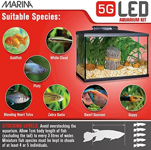 Kit de aquário LED de 5 galões de 5 galões-ideal para aquaristas iniciantes e novos guardiões de peixes