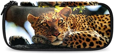Escola Surpplies Leopard Lápis Case colorida bolsa de caneta portátil Girls Cosmetic Bag Organizer