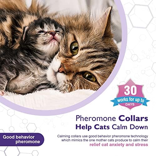 3 Pacote de colarinho calmante para gatos e gatinhos colarinho de colarinho de colarinho eficiente