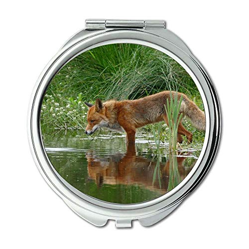 Espelho, espelho de maquiagem, grama de raposa animal, espelho de bolso, espelho portátil