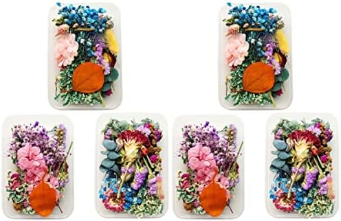 Aboofan 6 caixas pétalas decoração de sabão diy vela de flores prensada para artesanato natural artesanal