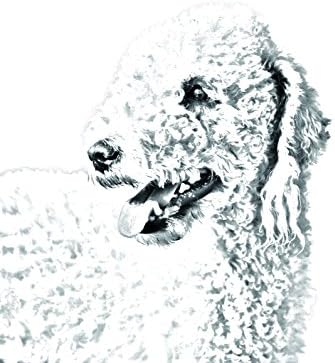 Bedlington, lápide oval de azulejo de cerâmica com a imagem de um cachorro