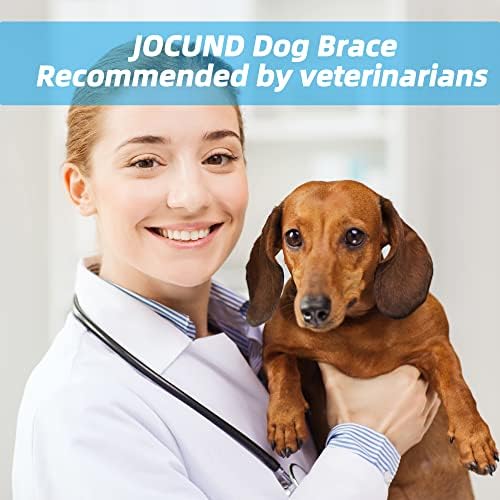 Jocund Dog Back Brace para IVDD, alívio da dor da artrite para cães, proteção contra o protetor