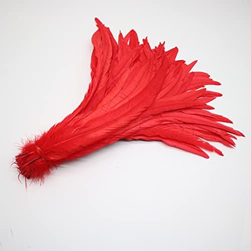 Pumcraft Feather for Craft 100pcs 30-35cm lindas penas de cauda de galo vermelho natura