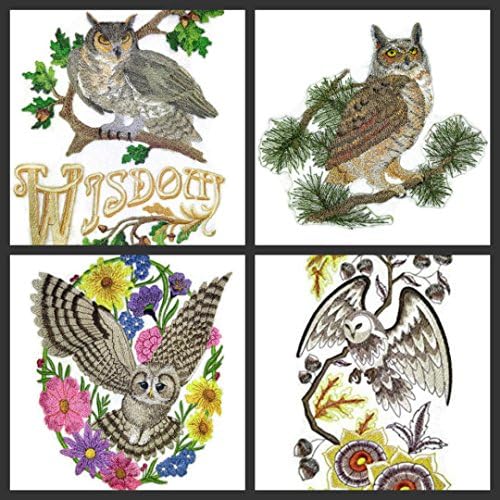 A natureza tecida em fios, pássaros incríveis [Woodland Whimsy Owl Oval [personalizado e exclusivo]
