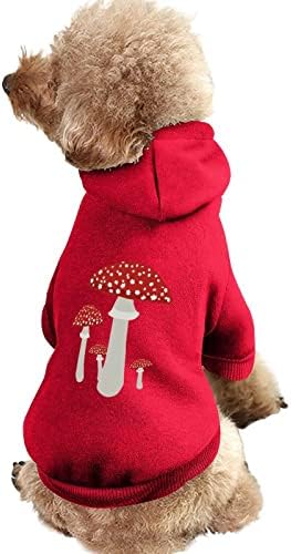 Cogumelos com capuz de cachorro de arte vermelha