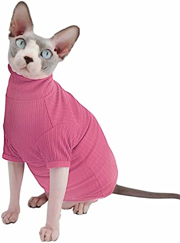 Sphynx Cats sem pêlos Camisa Camisão de gato de gato de gato camisetas de gatinho de gato de gato