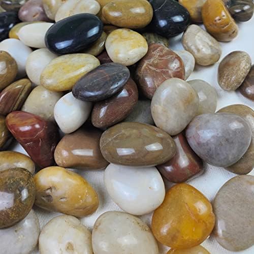Fantian 20lb Decorativo Pebbles Para plantas internas - 1,2 -2 rochas coloridas mistas naturais para paisagismo,