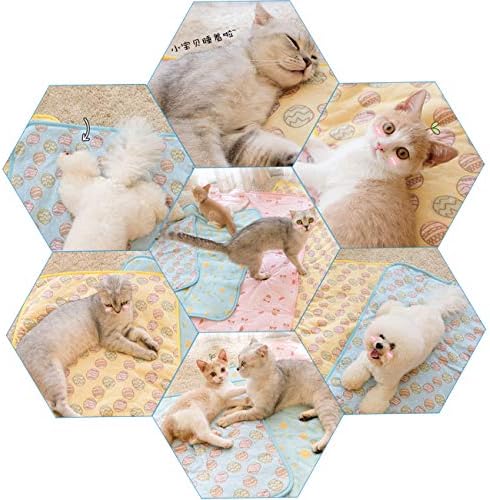 Hotumn Cooling Dog Bed Cão Cooler tapete lavável Pap de animais de estimação para dormir para pequenos