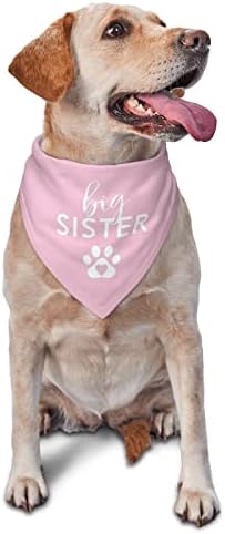 Vercosee Big Sister Dog Bandana, Gênero Revelar Aderetes da Booth Photo, Anúncio da Gravidez Bandana, lenço