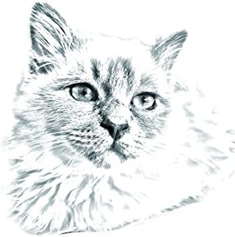 Art Dog Ltd. Birman, lápide oval de azulejo de cerâmica com uma imagem de um gato