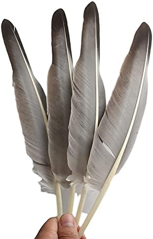 Pumcraft Feather for Craft 100pcs/lote de penas de ganso natural para artesanato plumas 12-14