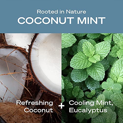 Ei Humans Coconut Mint Vegan, desodorante livre de alumínio com ingredientes naturais, óleo de