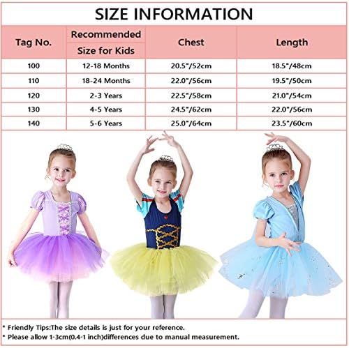 Myrisam Princess Leotards for Girls Ballet Dance Tutu Skirted Ballerina Dress Birthday Fanche Party Halloween