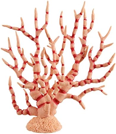 Tesouros subaquáticos Gorgonia - Creme de Orange