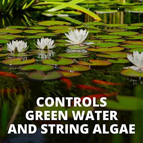 Tratamento de controle de algas tetrapond para uso com peixe e plantas, 33,8 onças