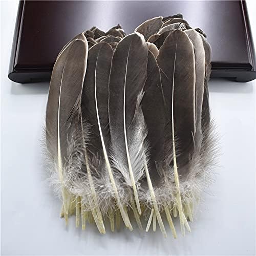 Pumcraft Feather for Decor Jóias Diy Pólo Hard Feathers Natural Goose For Craft Diy Jóias Plumes