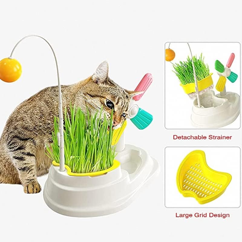 Moinho de vento frio Multifuncional 3 em 1 interativo Cat Grass Planter Toy Ball Cat Grass Stick Kitten