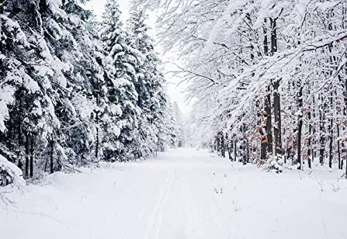 5x3 pés de inverno trilha florestal fundo galhos de pressão de neve pesada