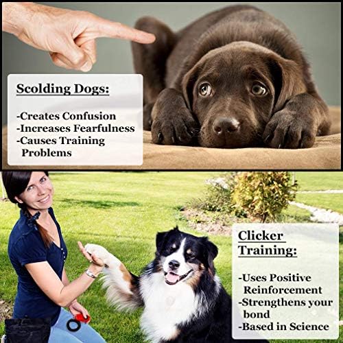 SunGrow Dog Training Clickers com cinta preta, papagaio de estimação, papagaio de estimação, filhote