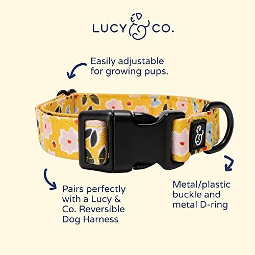 Lucy & Co. nas nuvens colarinho de cachorro ajustável- colar de estimação de grife fofo para pequenos, médios
