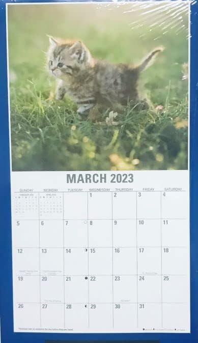 CGT 2023 Calendário de parede mensal Grande gatinhos e mini calendários de gatos de 12 meses Planejador de