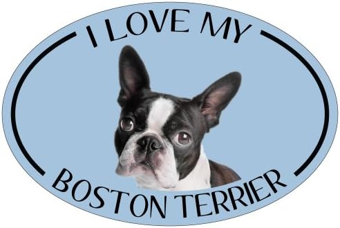 Imagine este ímã oval, eu amo meu Boston Terrier