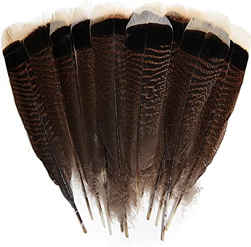 THARAHT 24pcs Natural Wild Turkey Tails Feathers Quill Bulk 12-14 polegadas 30-35cm para DIY Crafts