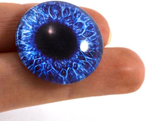 O olho de vidro azul escuro de 25 mm de 1 polegada de fantasia intensa cabochon para esculturas de taxidermia