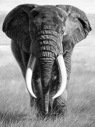 5D Diamond Diamond Painting Elefante no kit de bordado de elefante de elefante de elefante para pastagem