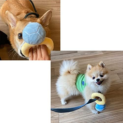 Diamond Ring Conjunto interativo Toys de cachorro, esconderijo único e procurar brinquedos para cães, BB